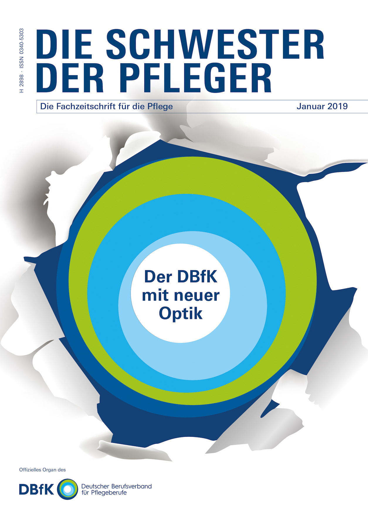 Die Schwester Der Pfleger